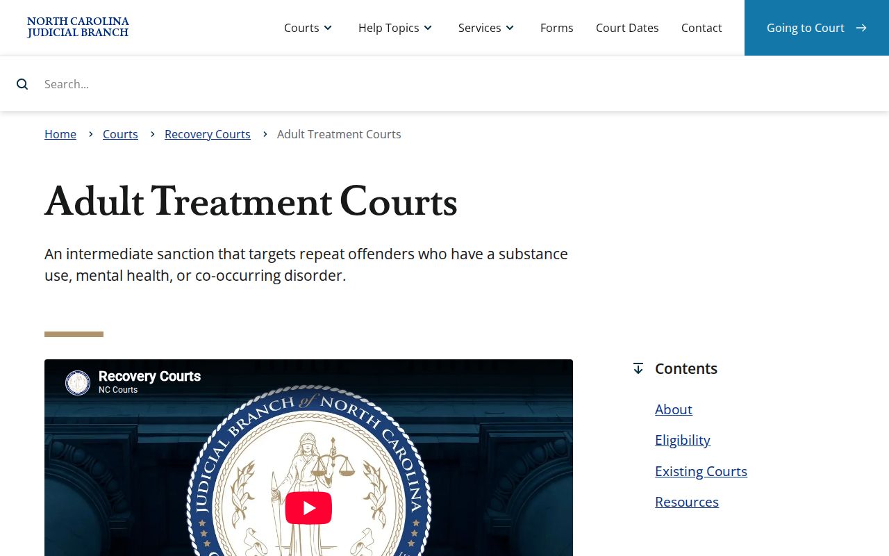 Watauga County criminal docket Adult Treatment Court reference